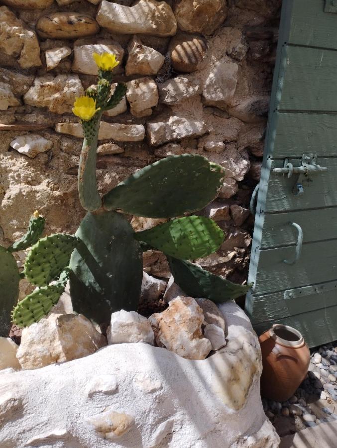 Bed and Breakfast Chez Les Filles Dions Exterior foto